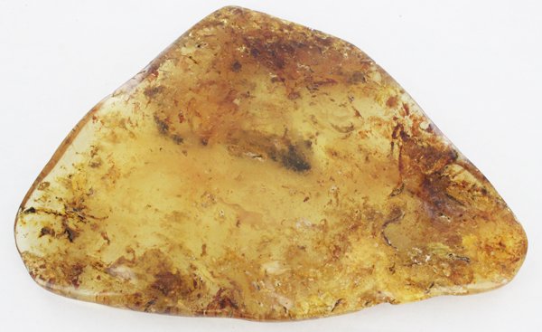 775ct Natural Peru Amber Polished Rough w/Inclusions (1 of 1)