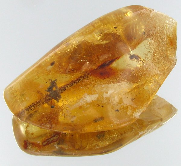 60ct Natural Peru Amber Rough HUGE w/Insects! (1 of 1)