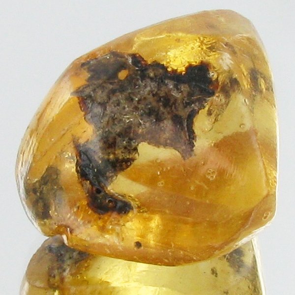 30ct Natural Peru Amber Rough HUGE w/Insects! (1 of 1)
