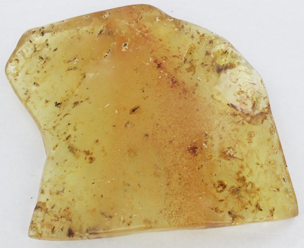 1320ct Natural Peru Amber Polished Rough w/Inclusions (1 of 1)
