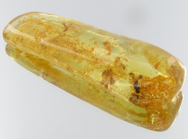 35ct Natural Peru Amber Rough HUGE w/Insects! (1 of 1)