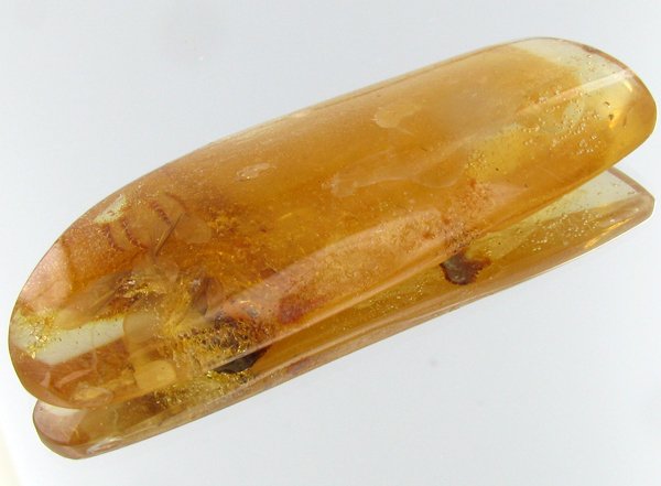 60ct Natural Peru Amber Rough HUGE w/Insects! (1 of 1)