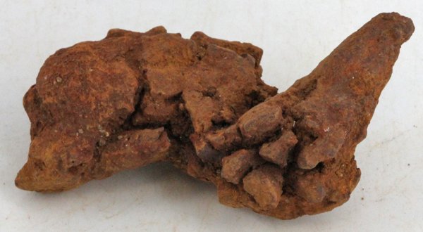 105ct Coprolite Dinosaur Doo Crystal Cluster (1 of 1)