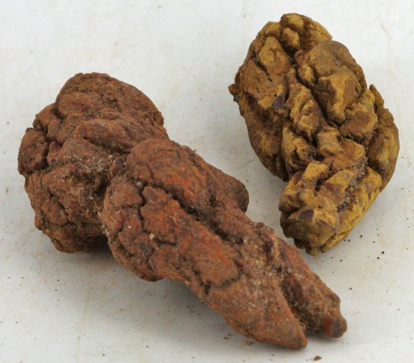 135ct Coprolite Dinosaur Doo Crystal Cluster Parcel (1 of 1)