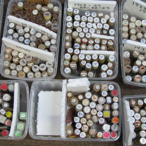 1979D Unsearched Estate Hoard Cent BU Roll 50: One unsearched brilliant uncirculated roll of the date listed from the partially pictured estate hoard of a very picky penny hoarder! This guy put away only choice or better coins. 10000+ rolls and we