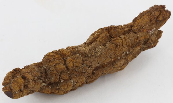 140ct Crystalized Coprolite Dinosaur Doo Cluster (1 of 1)