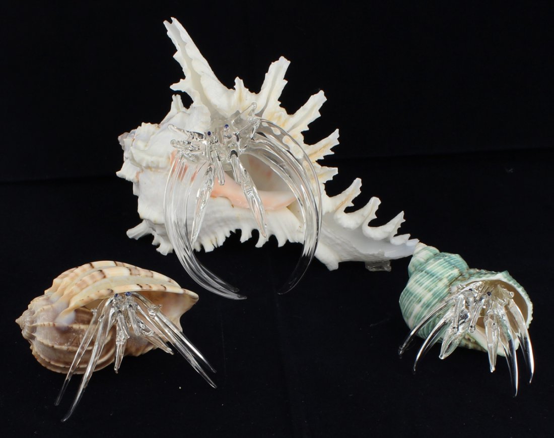 Blown Glass Hermit Crab Set (1 of 1)
