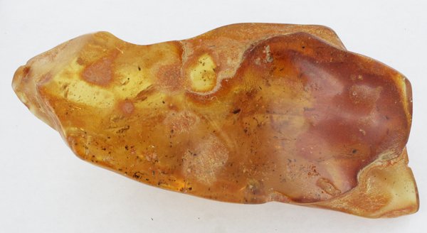 1285ct Natural Peru Amber Polished Rough w/Inclusions (1 of 1)