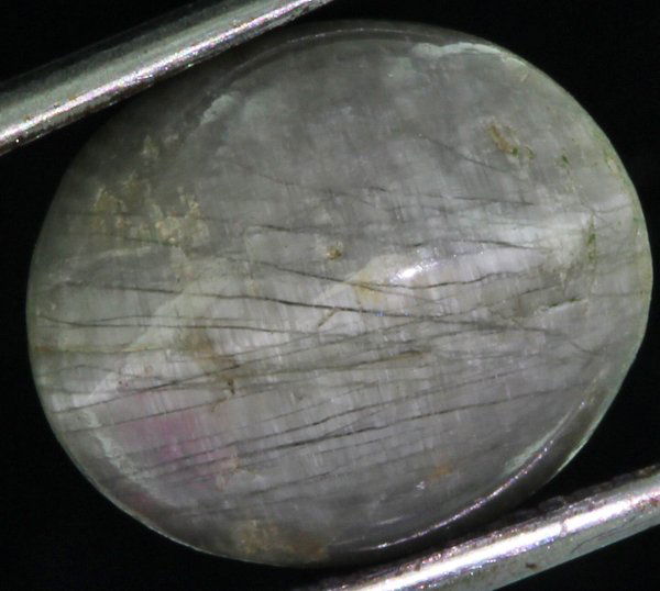 8.89ct Green Chrysoberyl Cats-Eye Cabochon Cut (1 of 1)