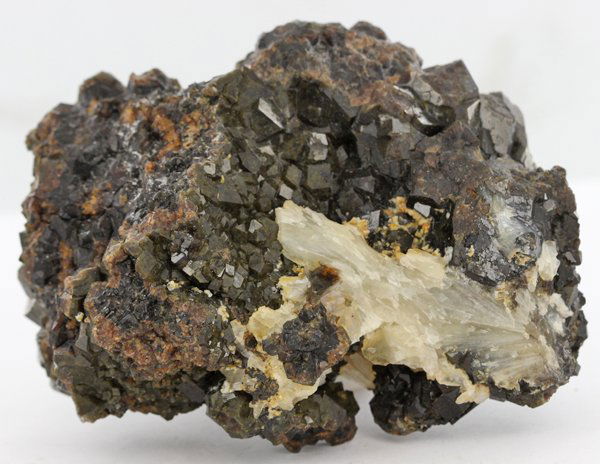 1585ct Untreated Grossular Garnet Crystal Cluster (1 of 1)