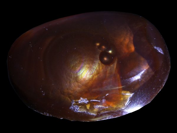 9ct Super HOT Mexican Fire Agate Mine Cut Cabochon (1 of 1)