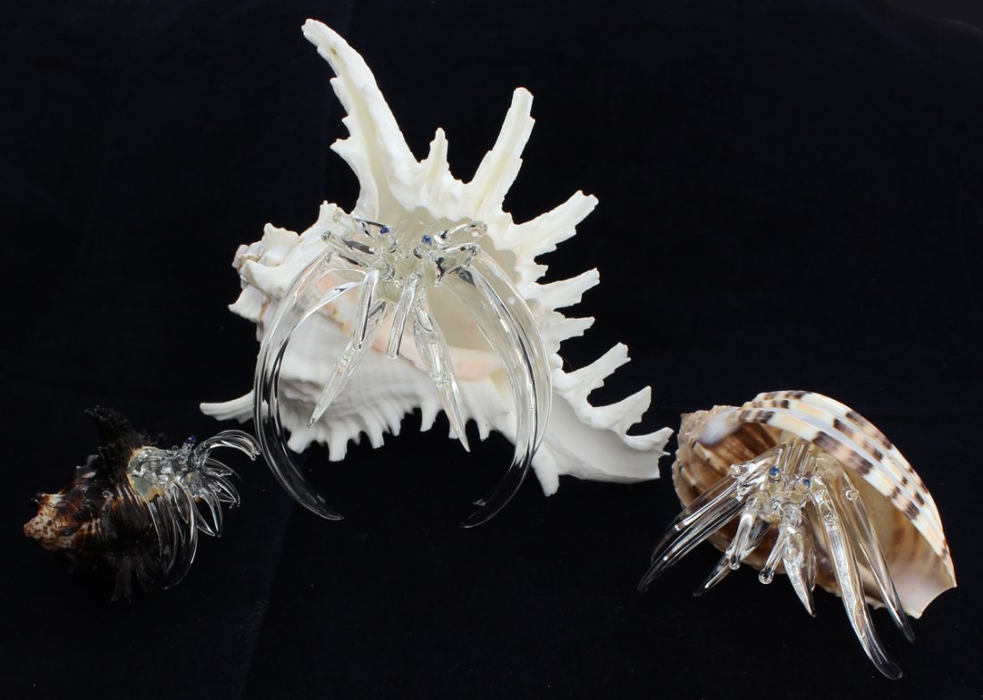 Blown Glass Hermit Crab Set (1 of 1)