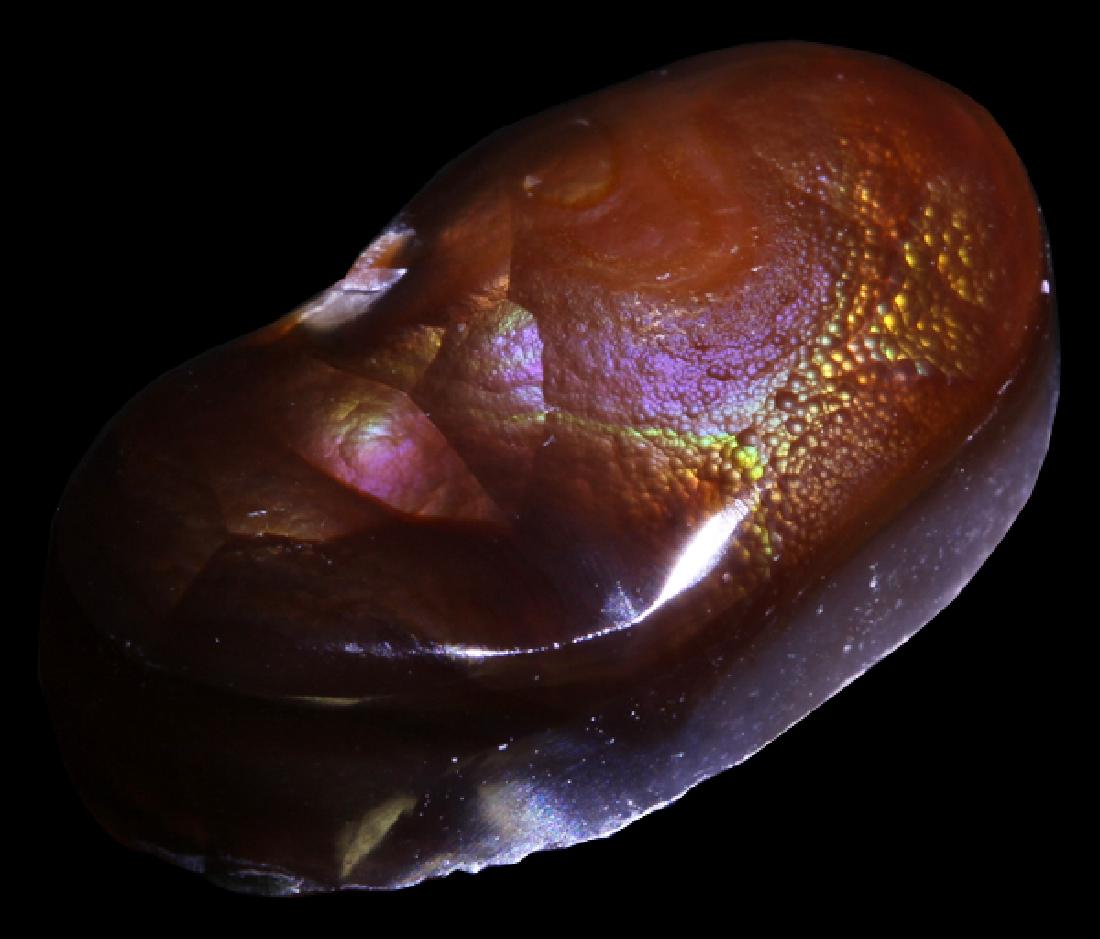 12.2ct Super HOT Mexican Fire Agate Mine Cut Cabochon: Untreated natural hi-grade specimen