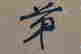 item-103121685=3