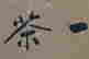 item-103121685=4