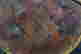 item-105785834=13