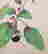 item-115723790=3