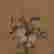 item-119512134=3