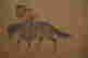 item-120997149=14