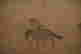 item-120997149=15
