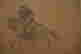 item-120997149=7