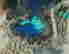 item-120997151=4