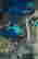 item-120997151=6