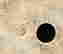 item-120997153=8