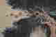 item-120997158=4