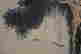 item-120997158=5