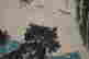 item-120997158=6