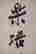 item-120997159=6
