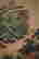 item-120997166=3