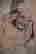 item-120997477=14