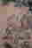 item-120997477=19