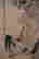 item-120997477=5