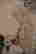 item-120997477=7