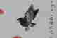 item-133019095=3