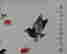 item-133019095=5