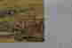 item-133019152=2