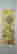 item-133019152=9