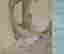 item-136334539=11