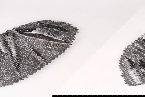 Fossil Orthoceras Orthoconic Nautiloid Specimens In Matrix: Fossil Orthoceras Orthoconic Nautiloid Specimens In Matrix ( 27 cm x 27 cm x 1 cm )