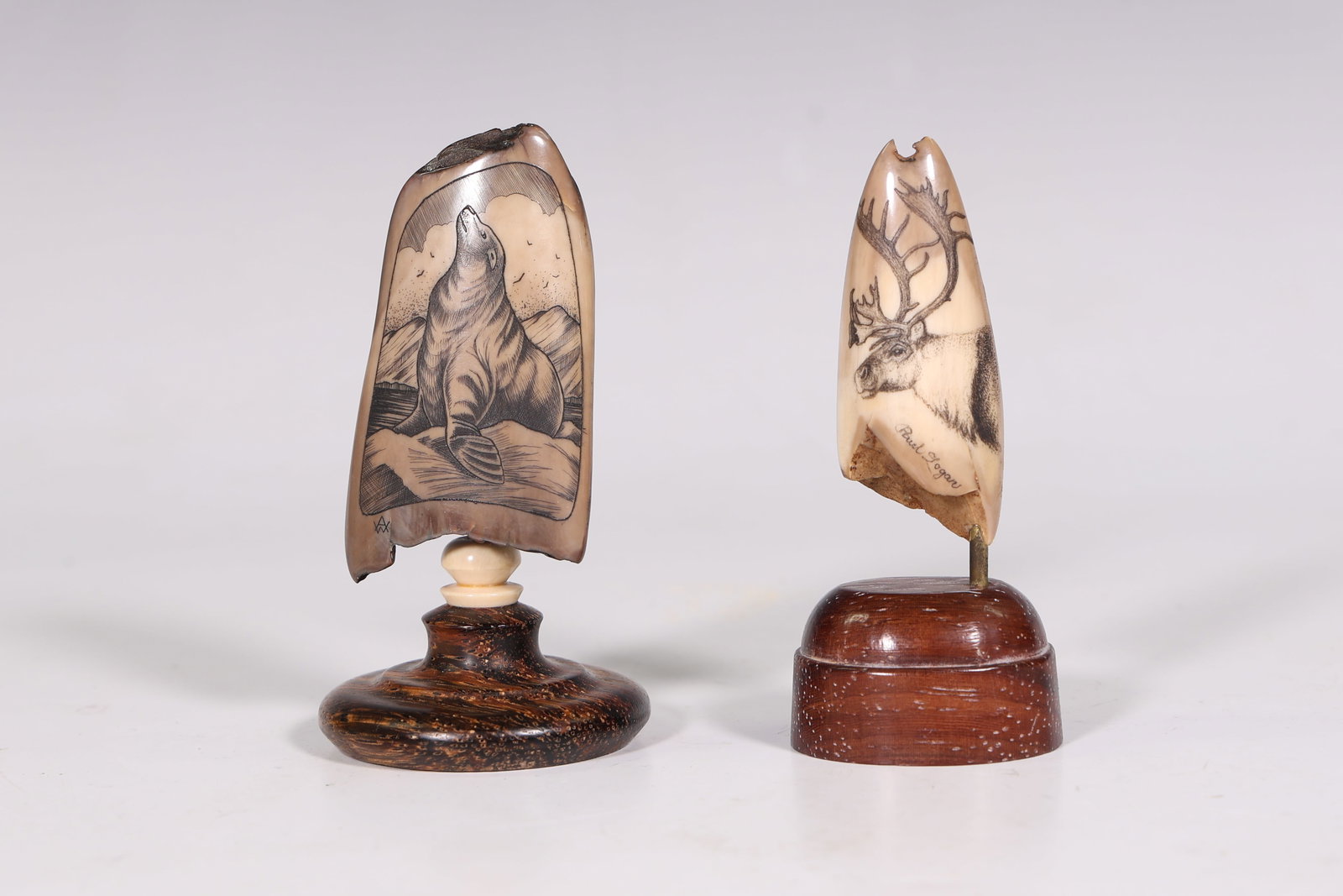 Two Of Scrimshaw Fossil Walrus Tooth Display With Stand Signed: Two Of Scrimshaw Fossil Walrus Tooth Display With Stand Signed ( 8 x 3 cm, 7 x 2.5 cm )