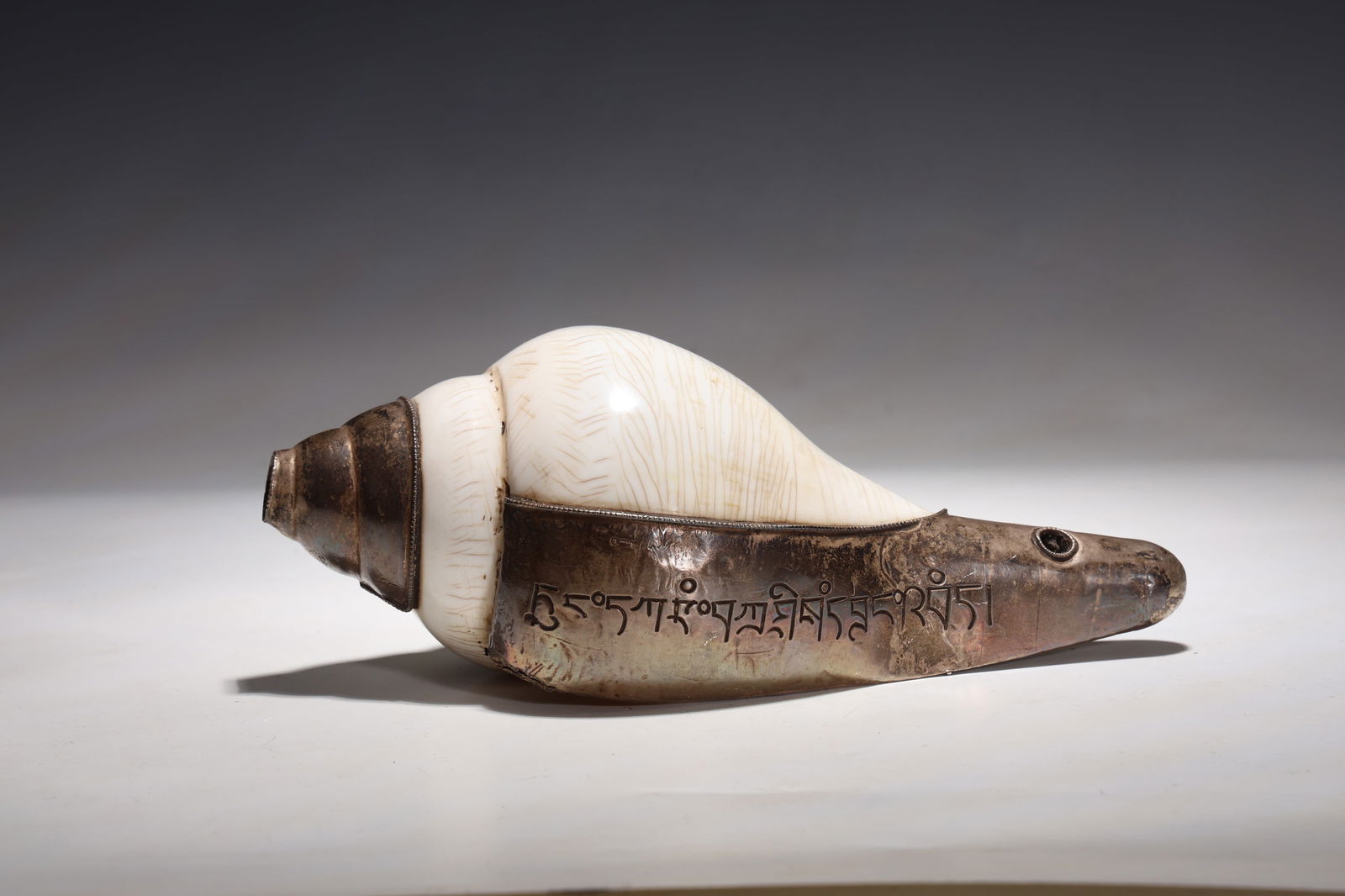 Large Tibet Conch Shell Trumpet (1 of 7)