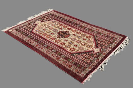 An Ivory Red Traditional Oriental Area Rug