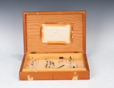 Vintge Insect Box By Environmental Studies Institute Chaparral 1970