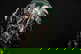 item-210572221=5