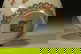 item-210572492=7