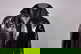 item-210572546=5